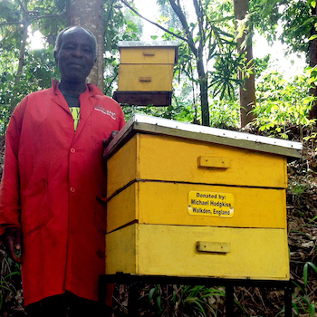 TGUP Project #121: Beehives 2019 in Kenya - 2019