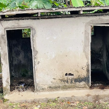 TGUP Project: St Gloria Primary in Cameroon