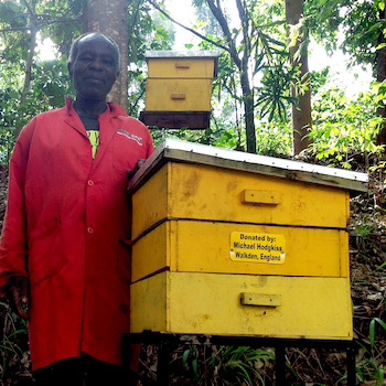 TGUP Project Gift: Beehives in Kenya