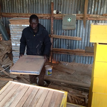TGUP Project: Beehives in Kenya