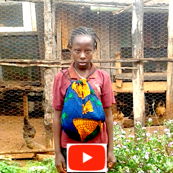 SaG Video